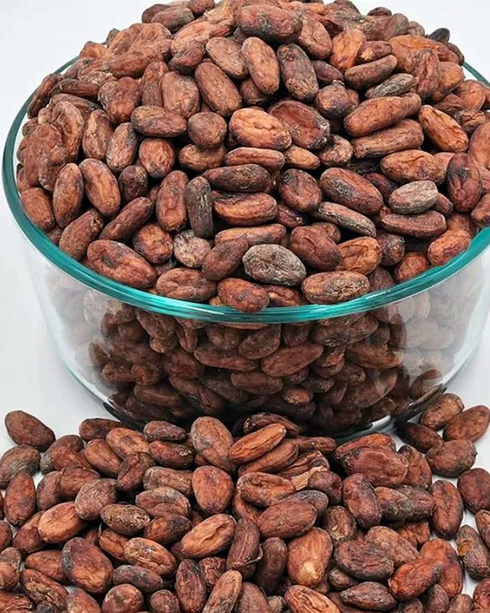 Cocoa beans photographed for Madagascar export sourcing
