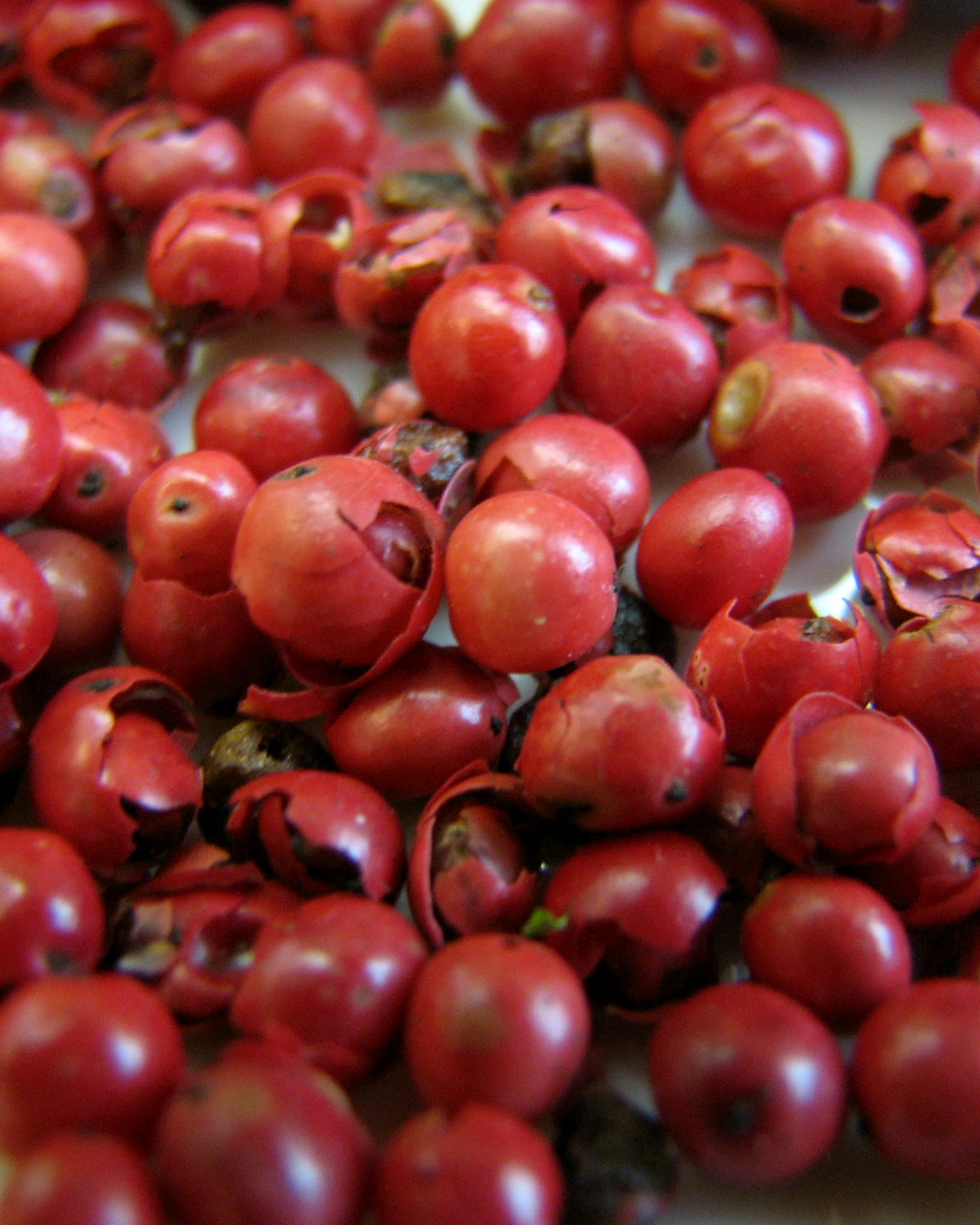 Pink pepper berries photographed for premium Madagascar export sourcing