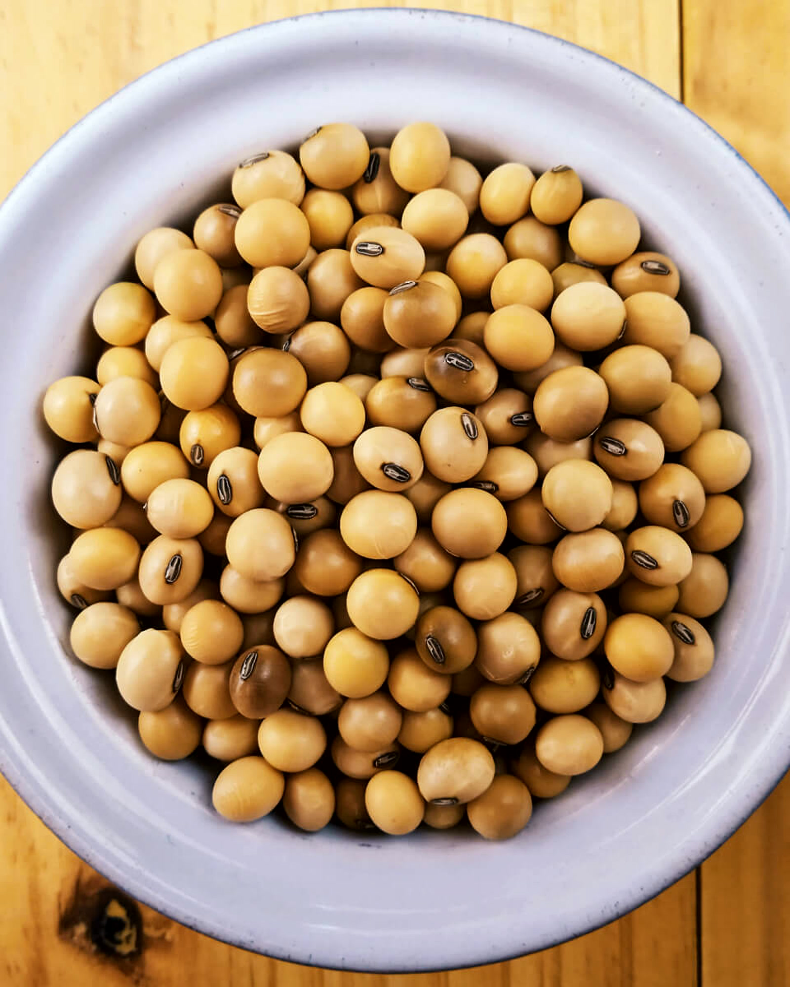 Soya beans shown in a bowl as a local agricultural product