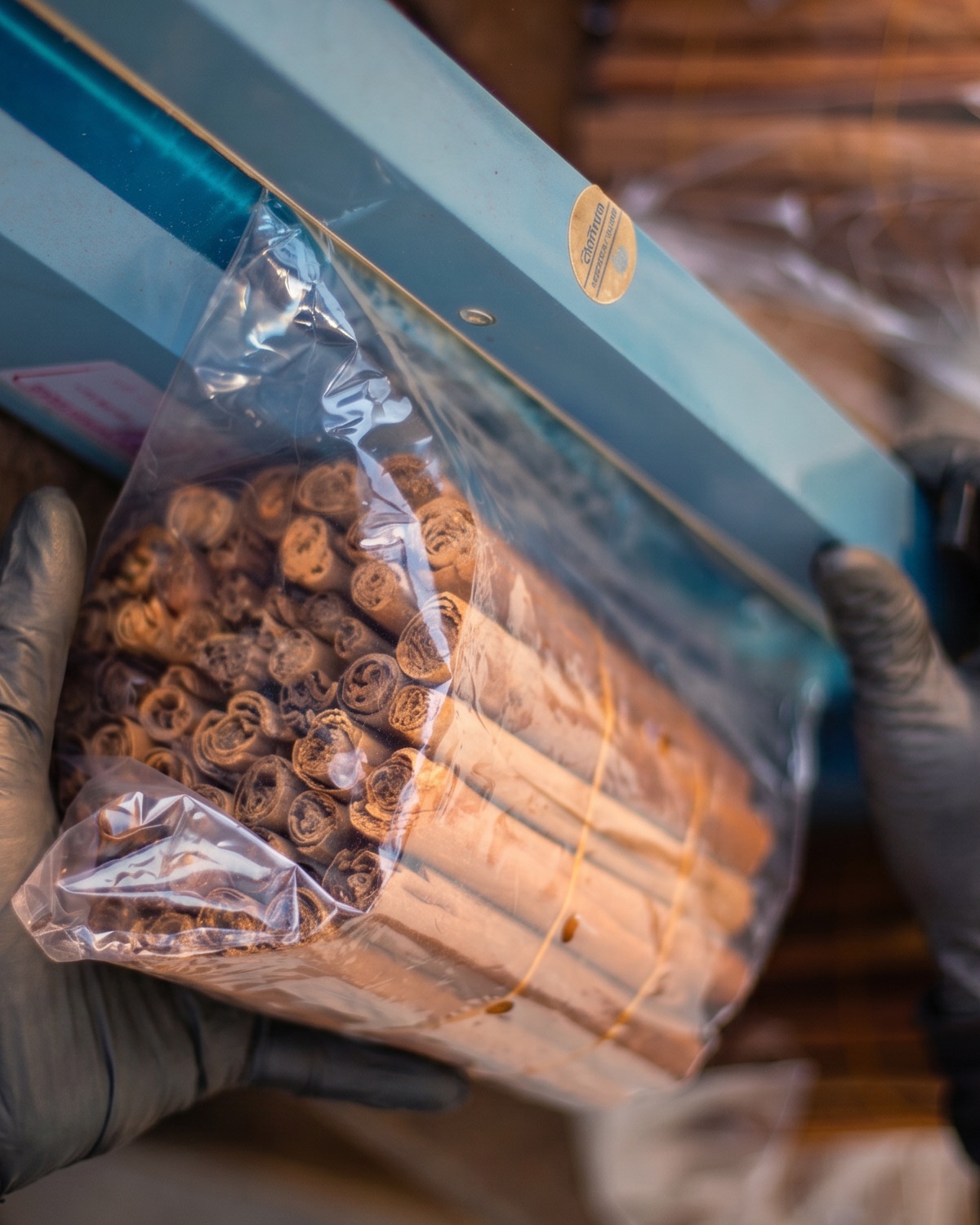 Gloved hands sealing Madagascar cinnamon bundles for export packing